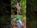 💧 La fuente de la juventud… existe y está en Paraguay