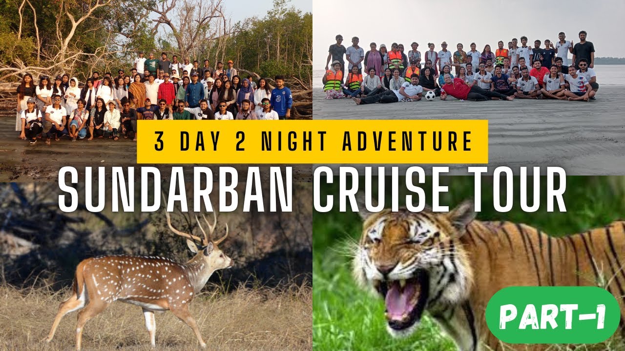 Explore the Wild Beauty of Sundarbans | World's Largest Mangrove Forest ...