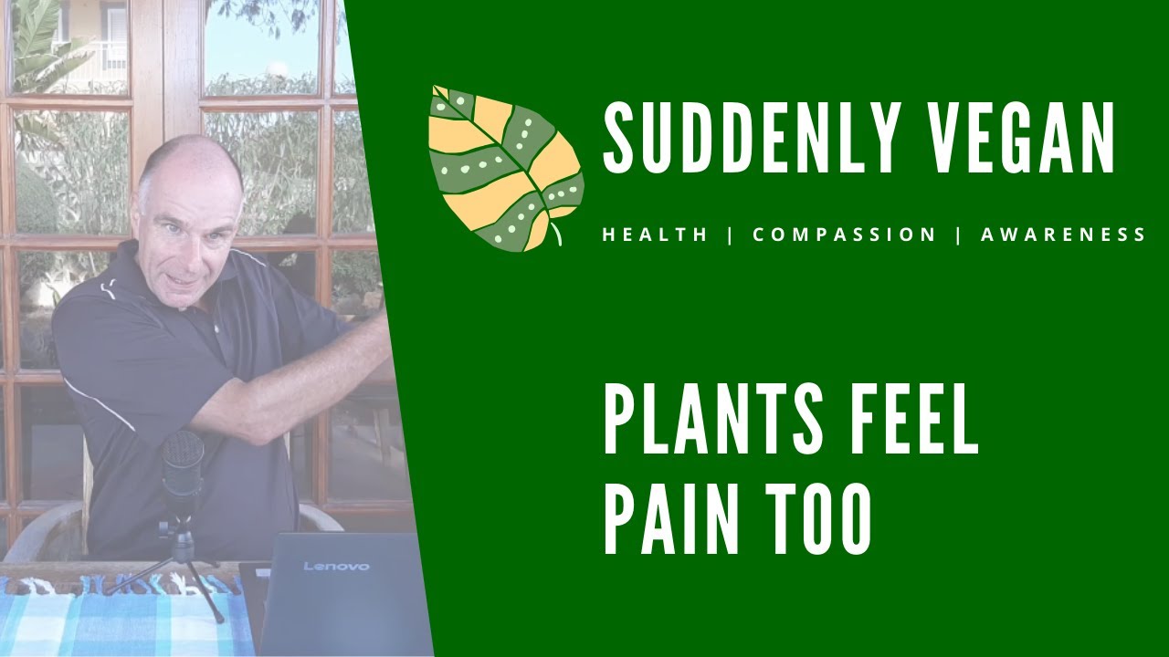 Suddenly Vegan Plants feel pain too argument against going vegan