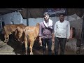 📲9511592301.MP के भाई ने खरीदी शानदार गीर गाय यादव डेयरी फार्म से Yadav Dairy Farm Rajasthan👍#गीरगाय