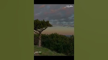 ارح قلبك ♥🥀_قرآن گريم «اسلام صبحي» #القارئ #القرآن_الكريم #قرآن #اسلام_صبحي