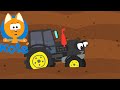 TRACTORS OF DIFFERENT COLORS  -  MEOW MEOW KITTY SONG 😸  - Songs