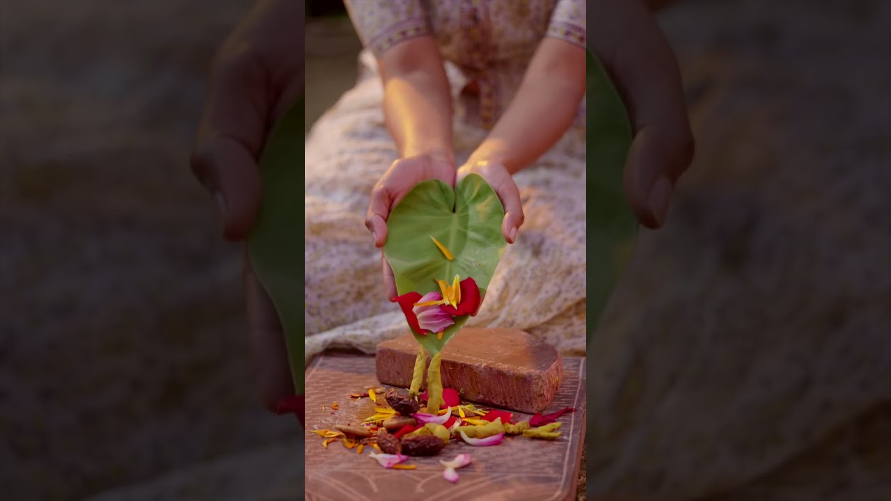 Discover Vaidique Regenesis: Timeless Ayurvedic Wisdom Reimagined 