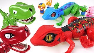 Pororo! Let's defeat dinosaurs and find treasure with Robo Alive Lizard brothers! - DuDuPopTOY