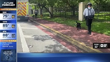 Task Force 3 deployed to Miami