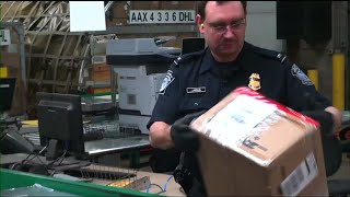 Feds Search for Fake Merchandise Ahead of SB LII