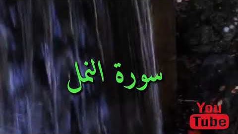 ٢٧_ سورة النمل بصوت رائع