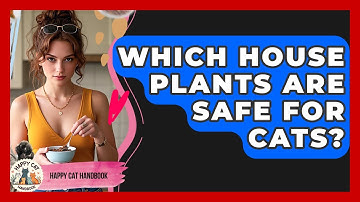 Which House Plants Are Safe For Cats? - Happy Cat Handbook