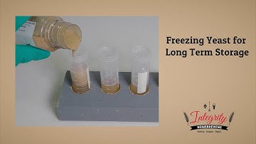 Freezing Yeast for Long Term Storage