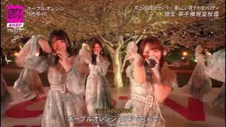 250407 Navel Orange LIVE