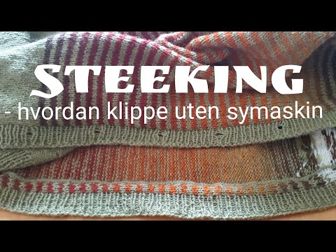 Video: Hvordan Nekte En Utlending