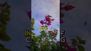 The Importance of Self-Compassion in Personal Growth9 #emotional #motivation #managingemotions