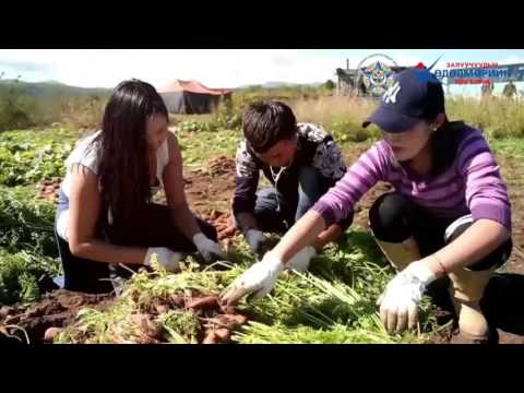 Видео: Цэцэрлэгчдийн намрын ажил