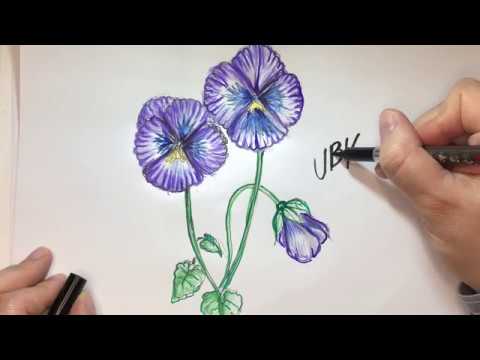 Video: Come Disegnare Una Viola A