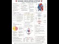 Human circulation system# short notes#biology