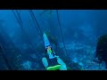 Spearfishing with new salvimar hero 105 speargun  false bay