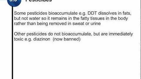 5.3 Bioaccumulation & Biomagnification