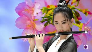 Zen Meditation Flute Music - A Spray of Plum Blossoms screenshot 2
