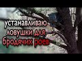 Роеловство. Где, как и когда устанавливать ловушки на пчел