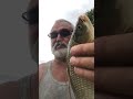 KILLER FISH 007 !!! TAGANKA 2023 !!! #fishing #skigear #carp #snowbaird #carpfishing #fish #angling