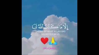 Allah is our protector|surah at tawbah ayat no 51 #shorts #youtubeshorts
