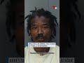 Arrestan a un hombre tras ataque de pitbulls en Wynwood