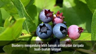Konsumsi 5 Makanan Ini untuk Awet Muda