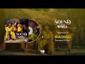 Rayvanny Ft Linex - Waongo (Official Audio)