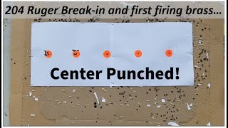 204 Ruger:  Barrel break-in and first fired brass