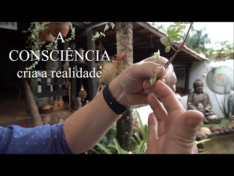 Vídeo: A Consciência Cria Matéria - Visão Alternativa