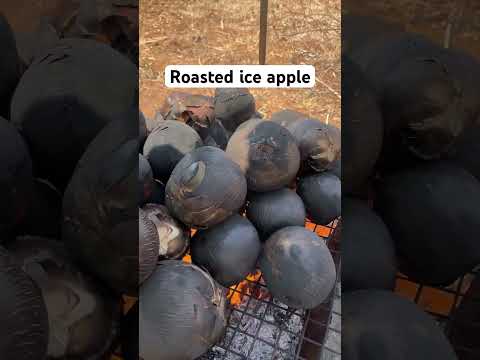 First time roasted ice apple 🥳🥳 #seiromsapidrom #Nonovlogs #iceapple #roast