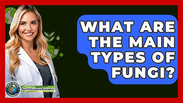 What Are The Main Types Of Fungi? - Earth Science Answers