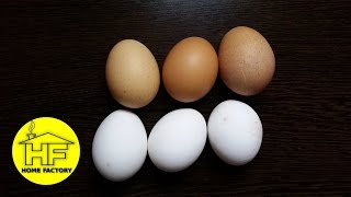 SUPER EASY!!! How to make pure white eggs!