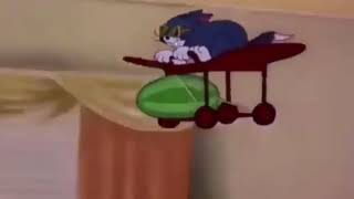 Толстые коты (Том и Джерри) Толстые коты (Том и Джерри)
