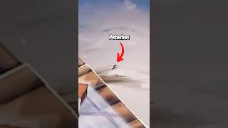 What Its Like Fighting Peterbot