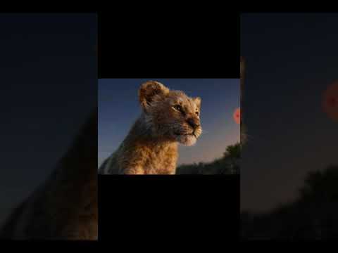 how-to-download-lion-king-tamil-dubbed-movie-download-link