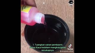 Mr Poank Obat Cairan Pembersih Kerak Aquarium Noda Kerak Membandel  Sangat Ampuh Akuarium Cleaner 1 Liter