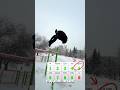 А сколько у тебя ? #сальто #snow #лайк