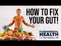 How to fix your gut