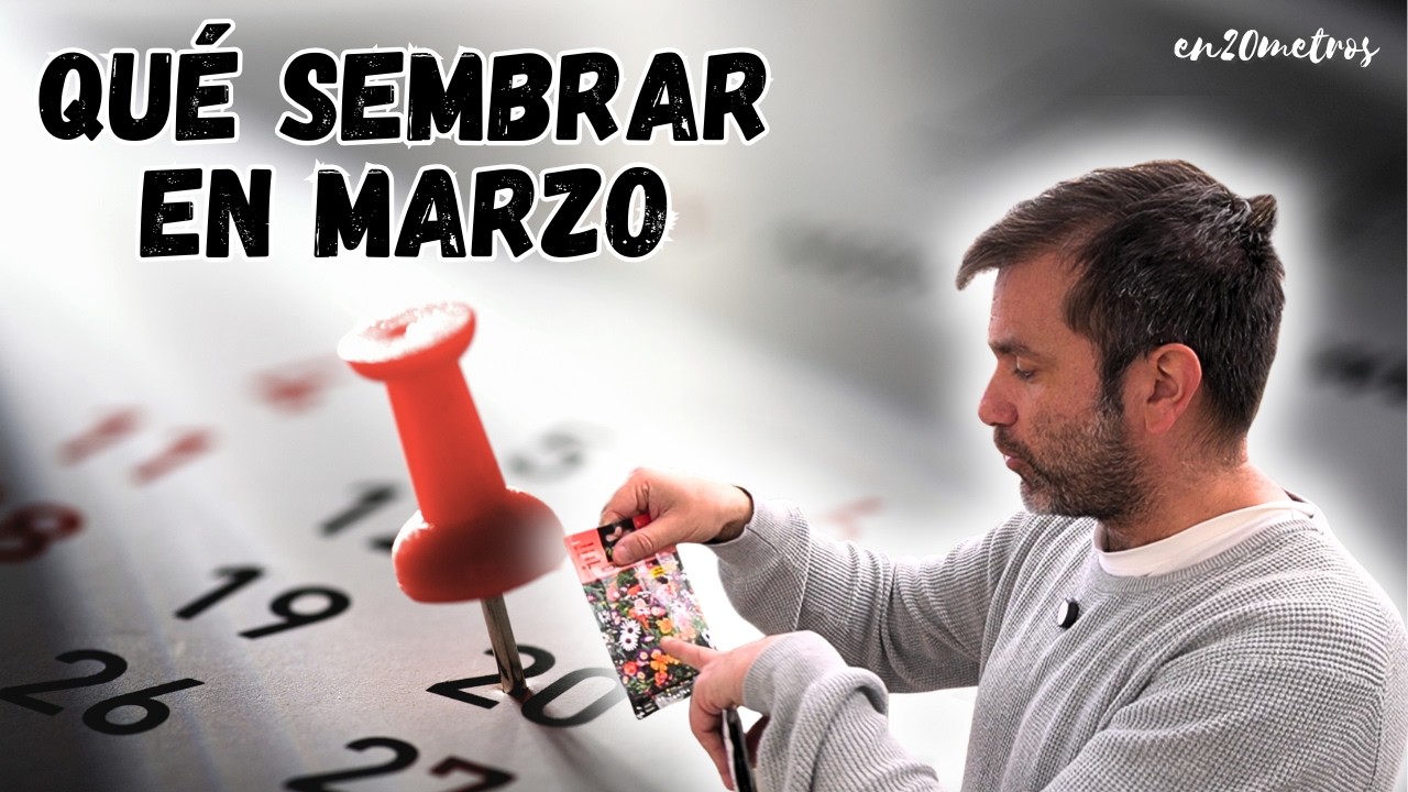 QUÉ SEMBRAR EN MARZO: CALENDARIO DE SIEMBRA Y TAREAS PARA HUERTA Y JARDÍN || en20metros