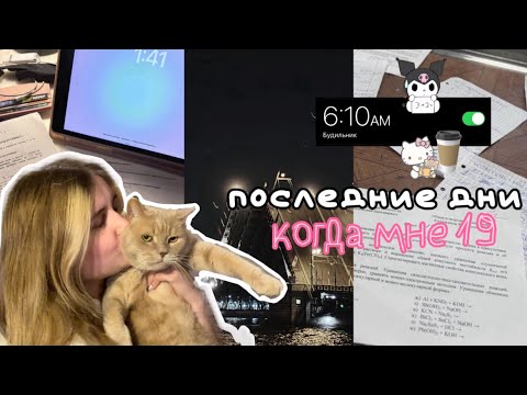 видео: VLOG: последние дни когда мне 19 | учеба 🩺