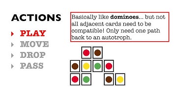 How to play PHYLO: The Ecosystem Trading Card Game