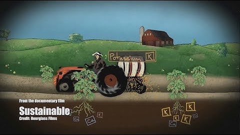 AEA Plant Sap Analysis - Explainer Video