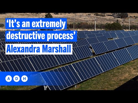 ‘An extremely destructive process’: Alexandra Marshall on the renewable energy industry | Alan Jones