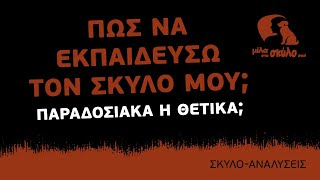 ΣΚΥΛΟΑΝΑΛΥΣΕΙΣ #1  Πώς να εκπαιδεύσω τον σκύλο μου; Παραδοσιακά vs Θετικά  ΜΙΛΑ ΣΤΟ ΣΚΥΛΟ ΣΟΥ