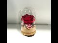 Preserved flowers orgel 프리저브드 플라워 오르골