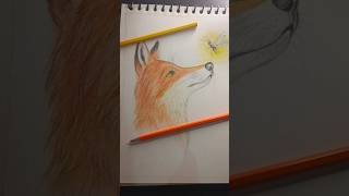 Information fox 🦊 pencil sketch #fox #art #artist #artwork #sketch #drawing #draw #pencildrawing #colours Update