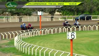 Vidéo de la course PMU HANDICAP 2 YO & UP