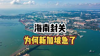 海南封关！为何新加坡急了？