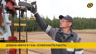 Особенности работы на «Белоруснефти»: как компания может изменить судьбу человека